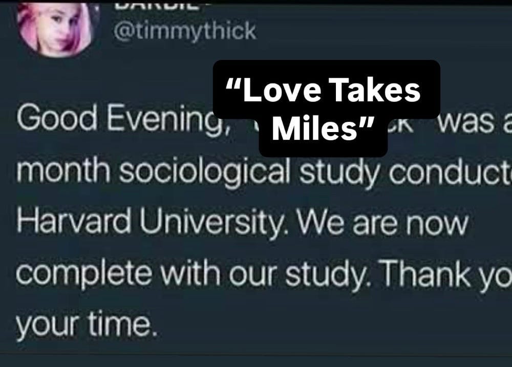 fake fans by eliza mclamb