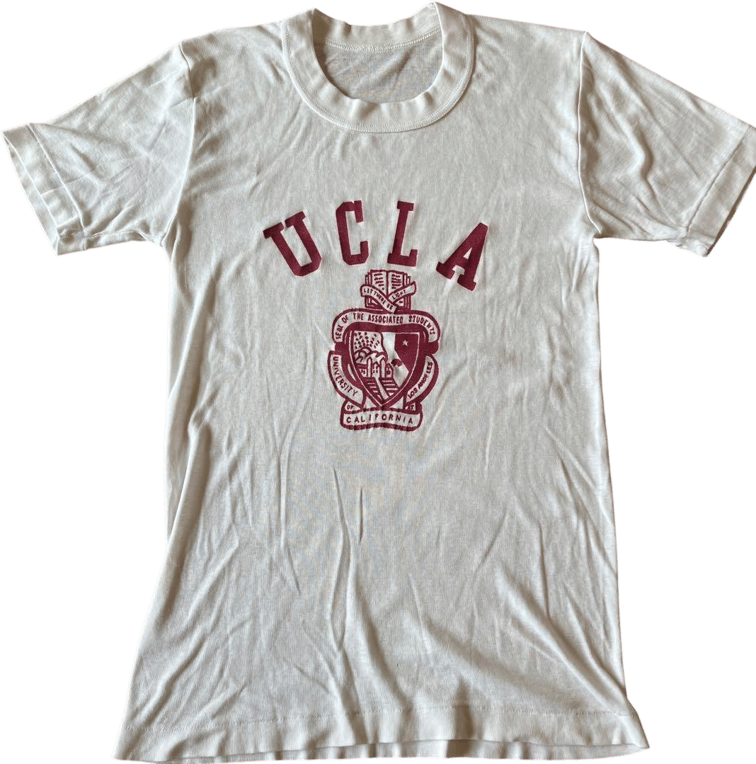 Vintage 1960s/1970s UCLA Bruins Champion T-Shirt