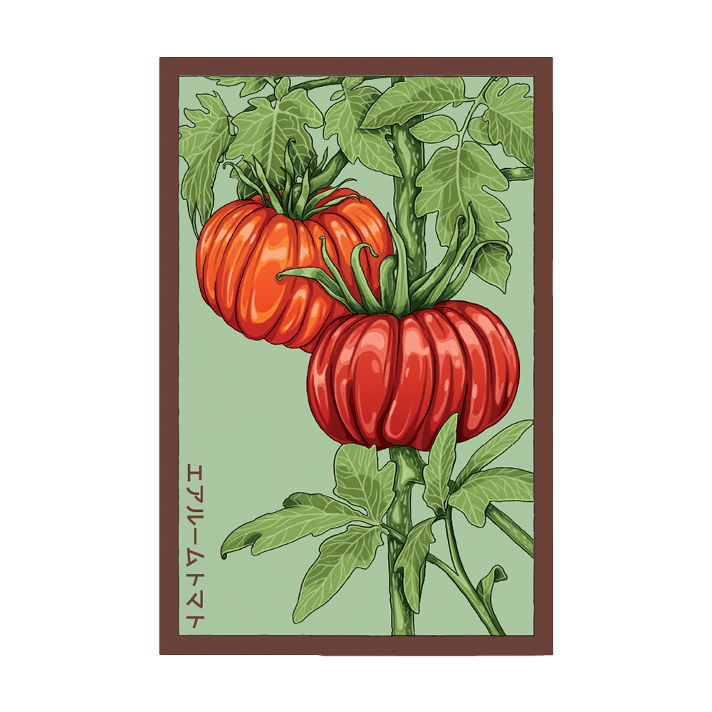 Heirloom Tomato Vegetable Seeds