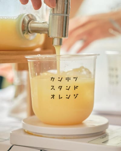 Citrus Stand Orange