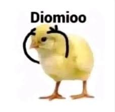 "Diomioo" meme