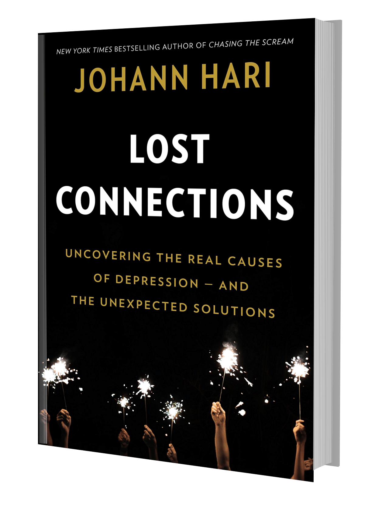 Lost connections  by Johann Hari