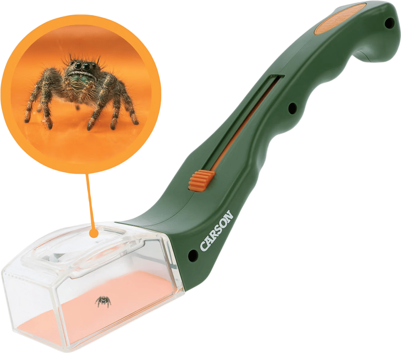 Carson BugView Humane Bug Catcher with 5x Magnifier