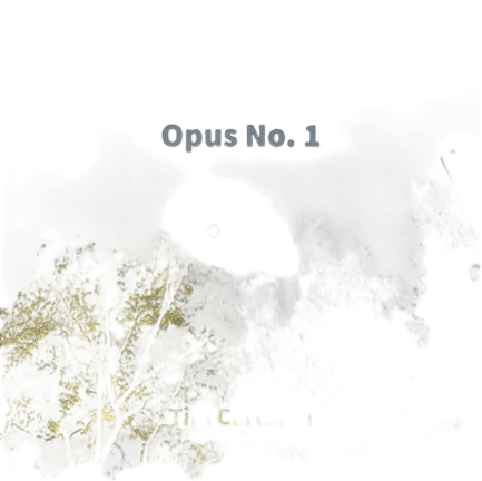 Opus No. 1