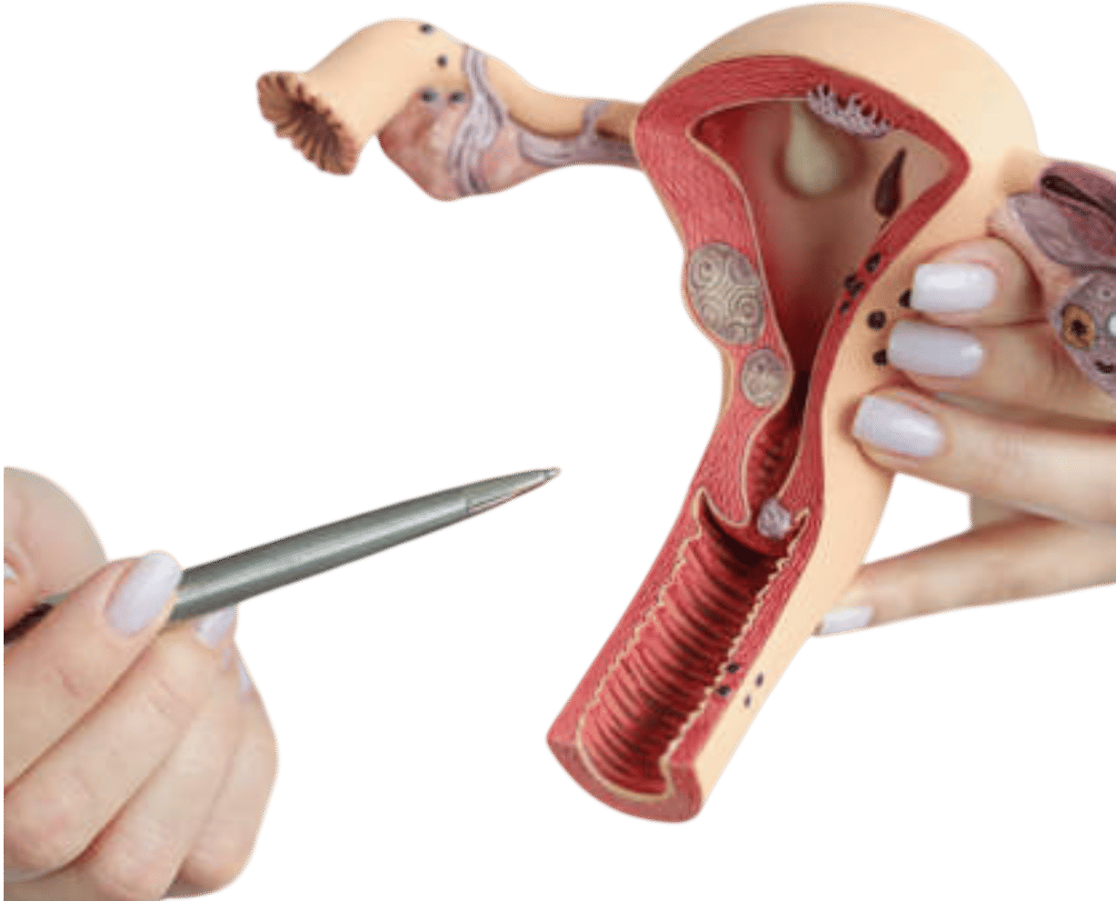 OB/GYN in NYC who takes insurance
