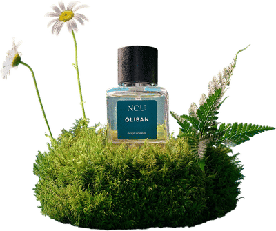 Oliban Pour Homme