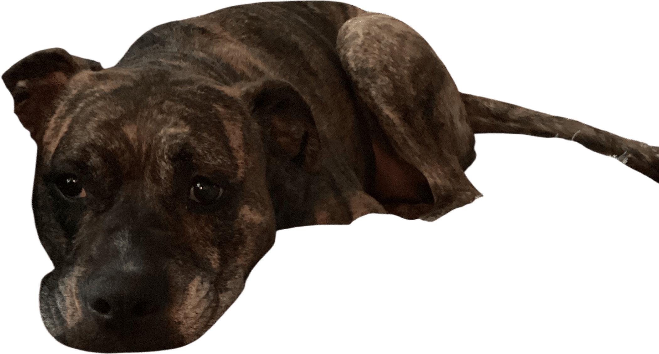 Maya in worm mode