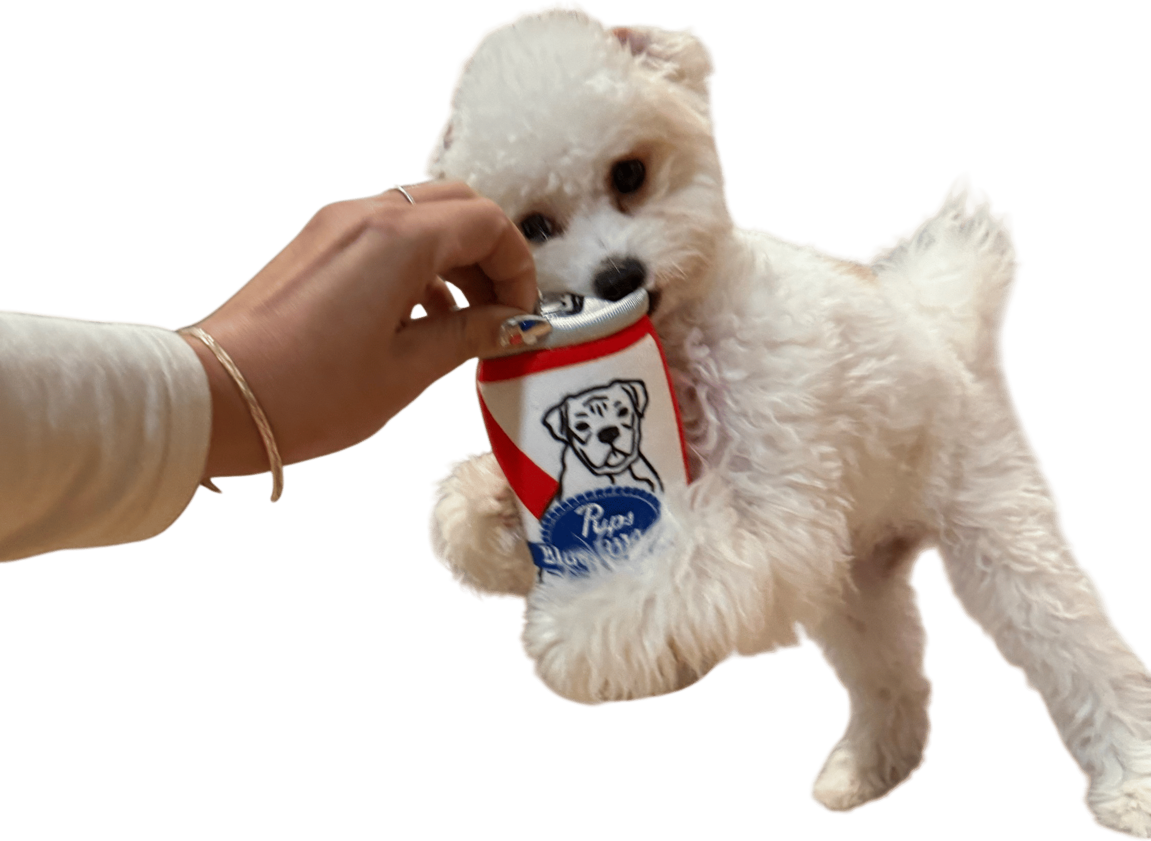 PBR chew toy