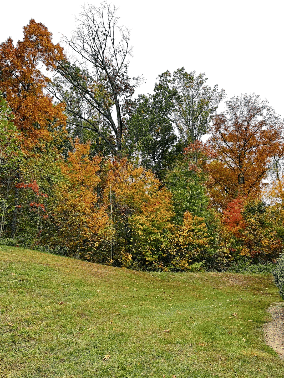 The Fall Color Guy