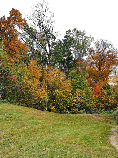 The Fall Color Guy - Dr. Howard Neufeld