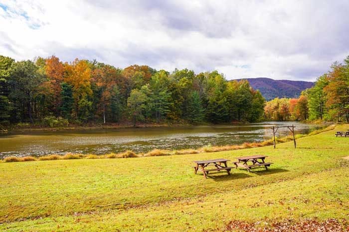 Montfair Resort Farm