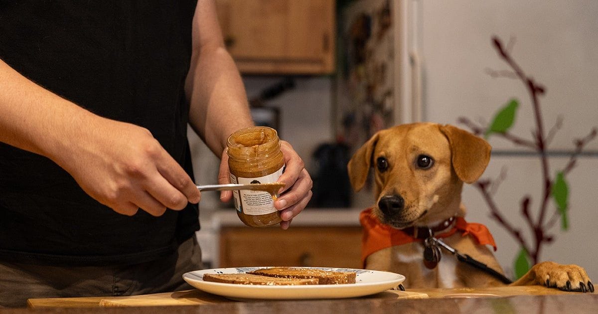 Give your pets personalities