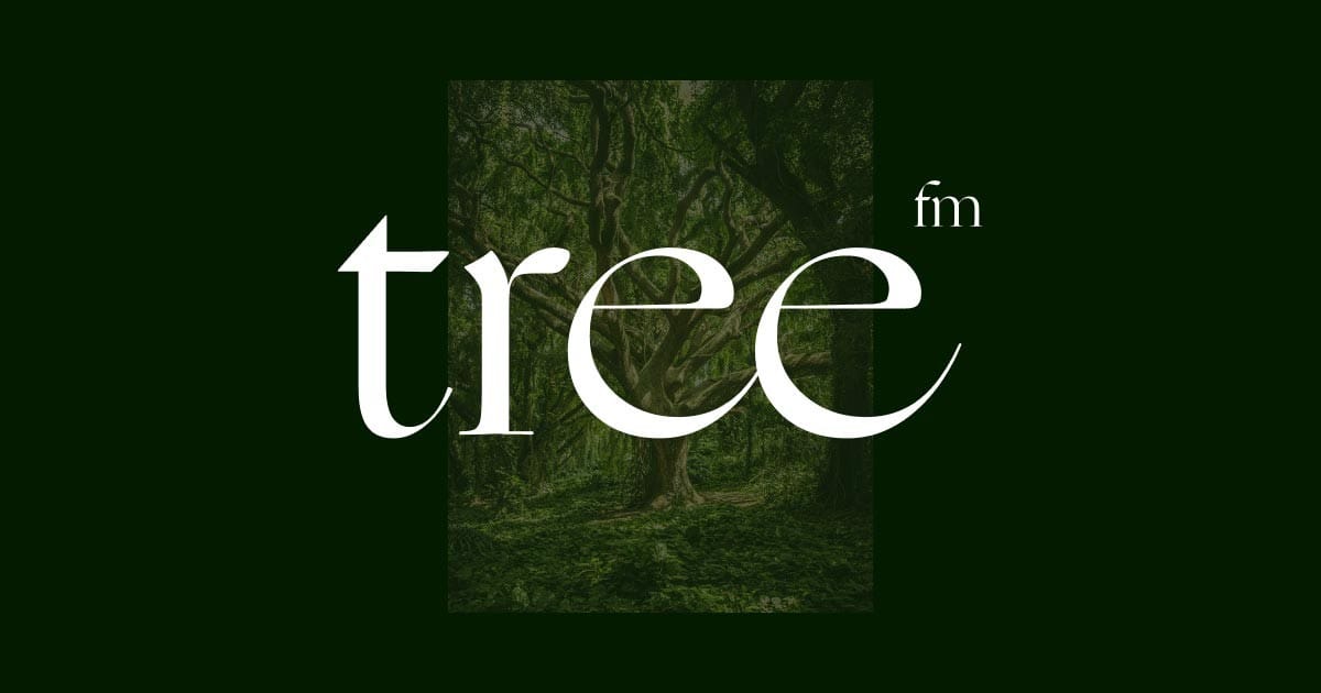 tree.fm – Tune Into Forests
