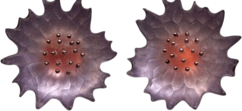 Lucite Flower Clip-On Earrings