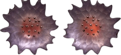 Lucite Flower Clip-On Earrings