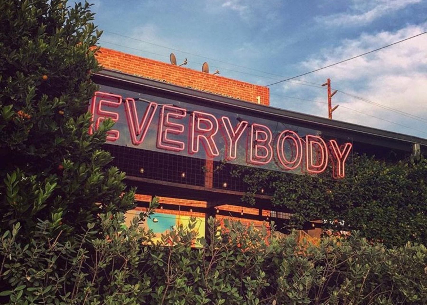 Everybody Gym LA