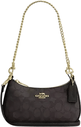 coach teri bag