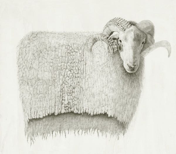 Artwork by Meagan Donegan