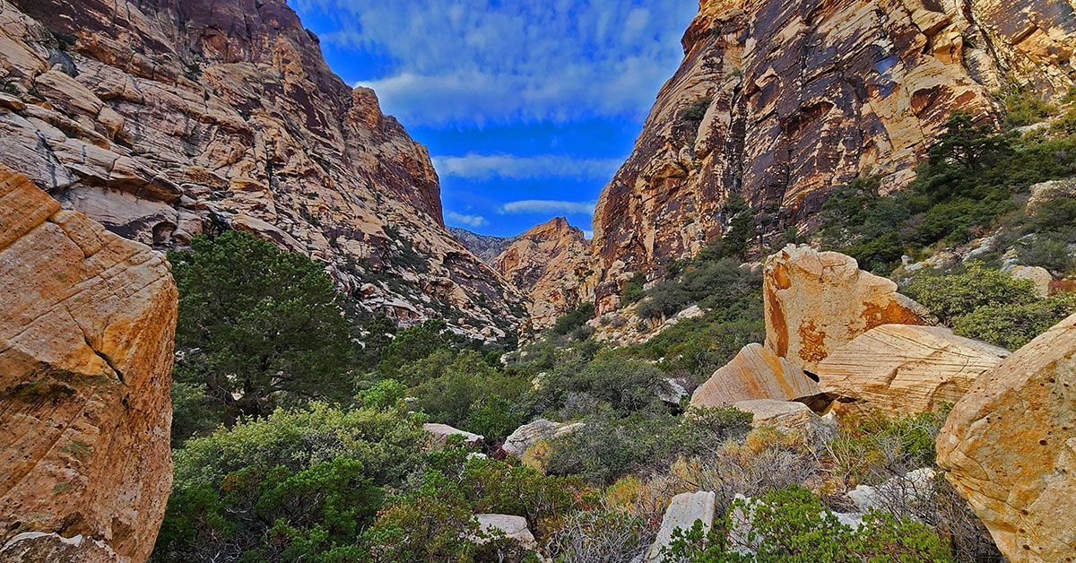 Oak Creek Trail - Red Rock NCA