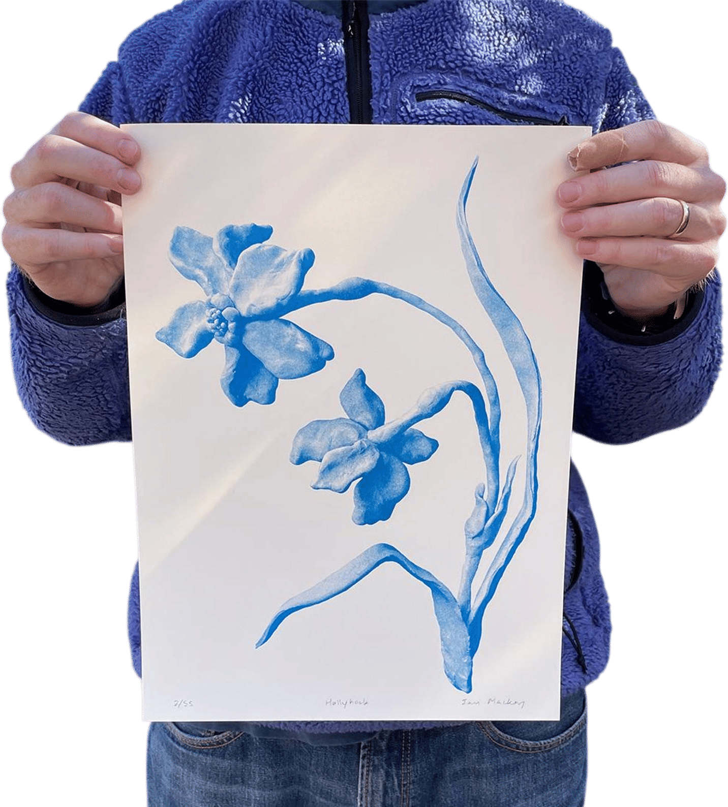 Hollyhock risograph art print