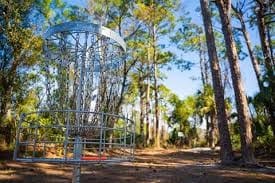 Playing Disc Golf with your kids