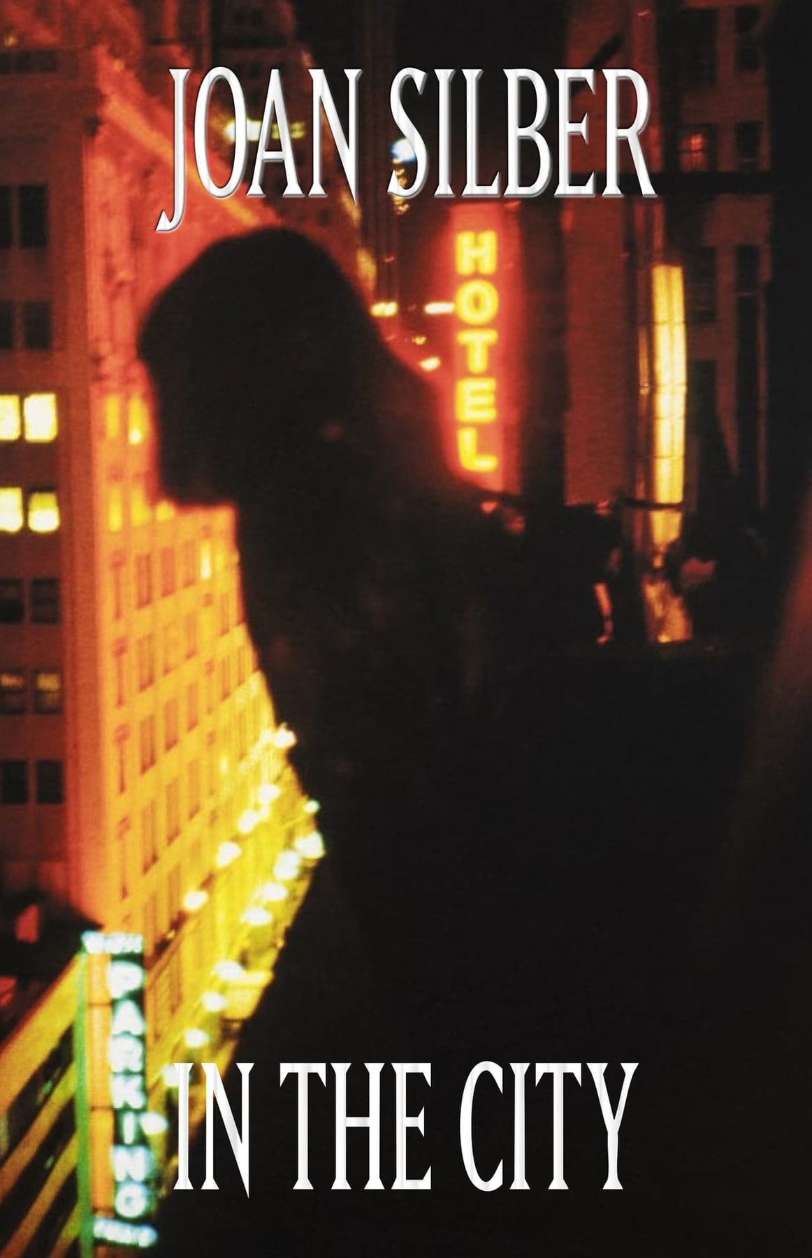 In the City by Joan Silber