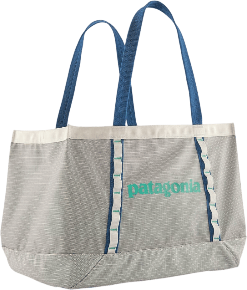 patagonia black hole tote