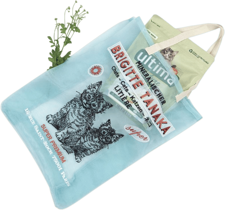 Cats bag in organza with embroideries