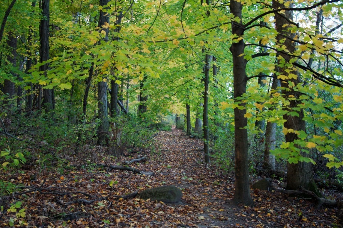 uw madison arboretum