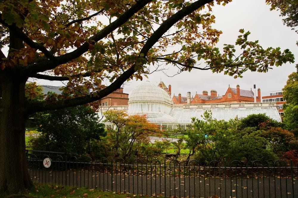 Belfast Botanic Gardens and Palm House