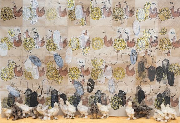 Carmen Argote, Poyo/Yoyo