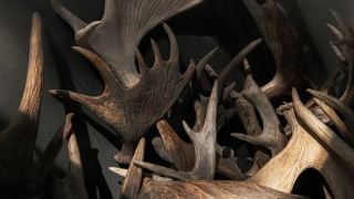 carpenter workshop gallery