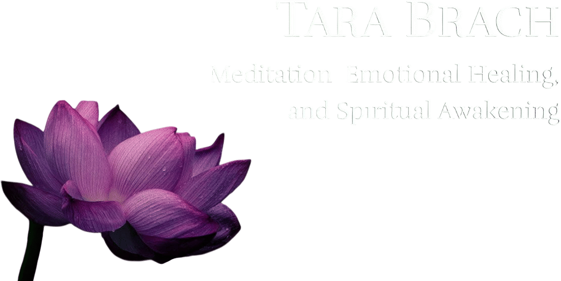 Tara Brach Podcast