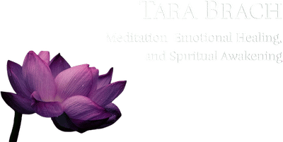 Tara Brach Podcast