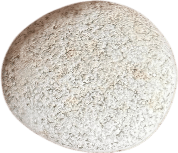 Members-Only Recommendation