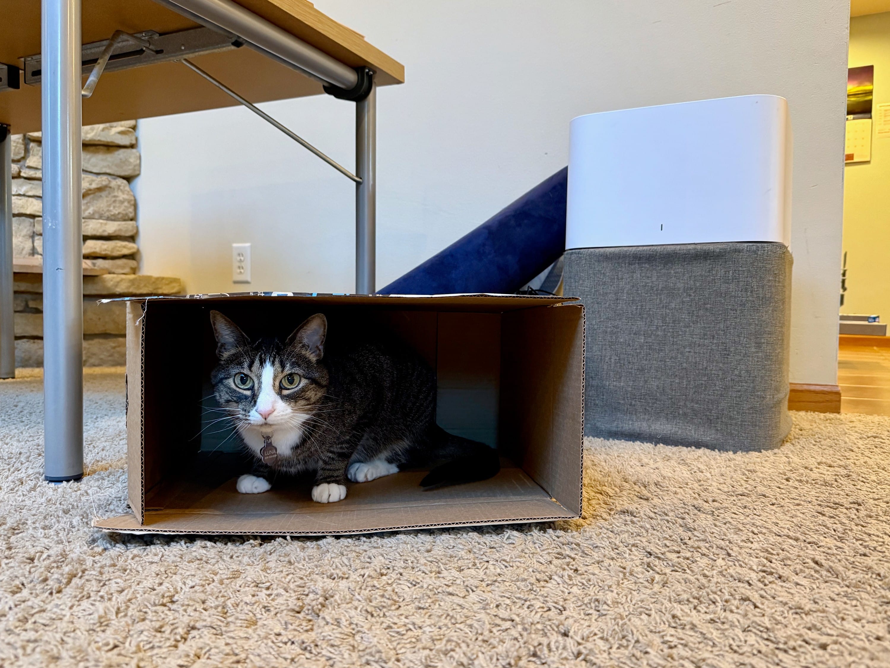 Give them your cardboard boxes