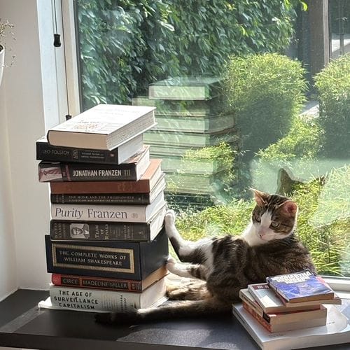 Bookstores