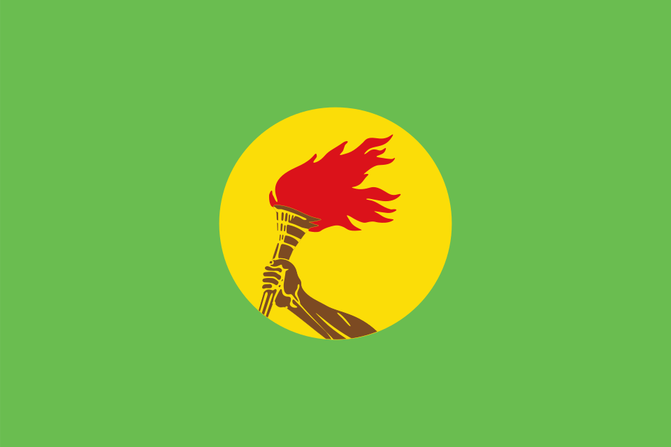 Flag of Zaire