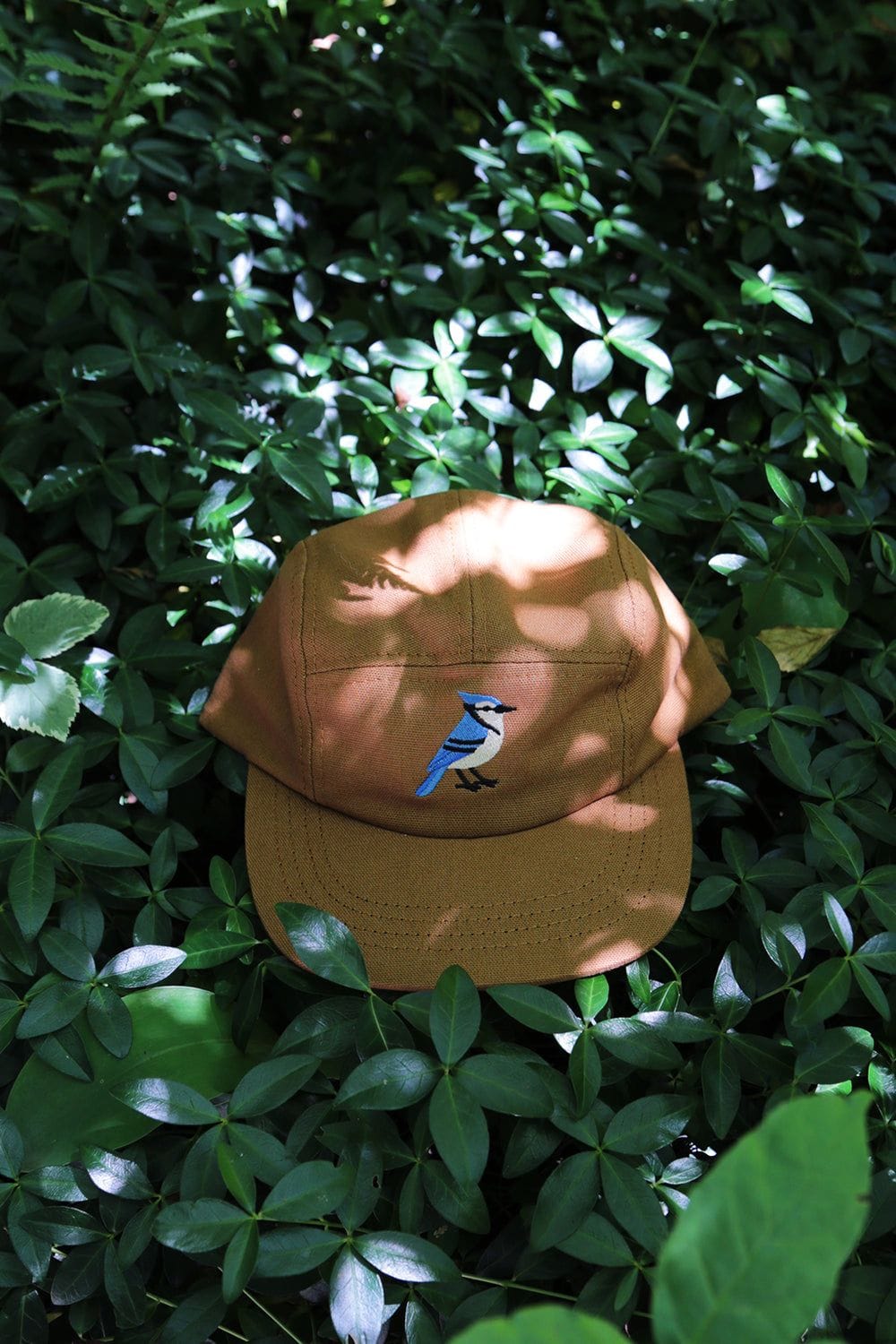 Muttonhead 5 Panel Hat - Blue Jay Embroidery