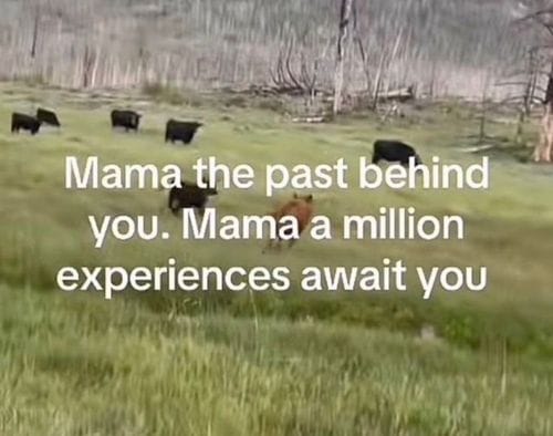 Finding yourself