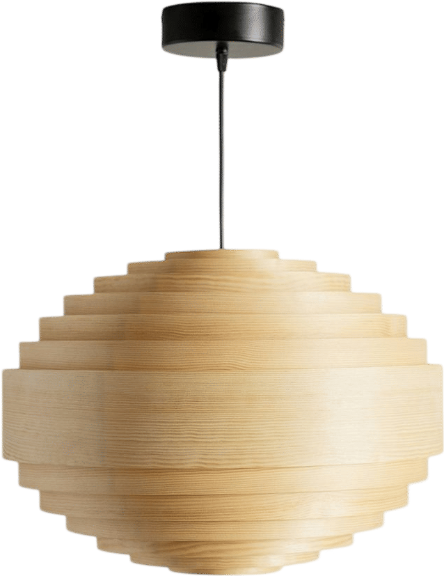 1002 Hans Pendant