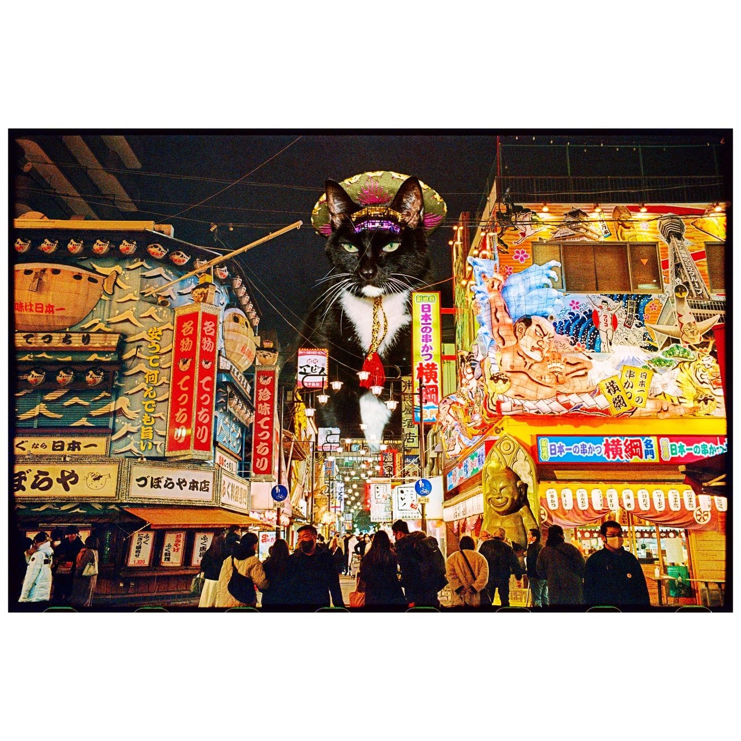 The Adventures of Tamarind and Bandit