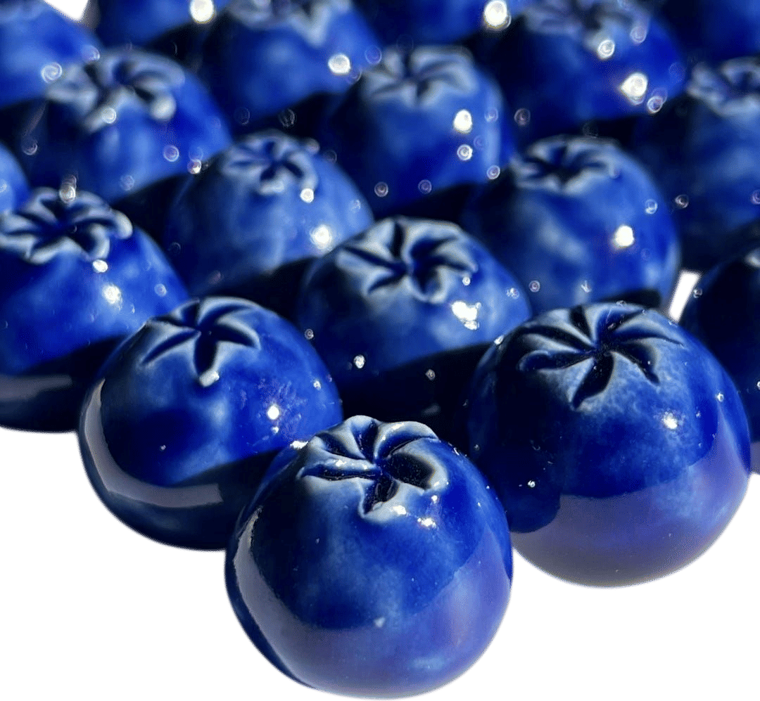 Handmade Blueberry Pottery Magnet