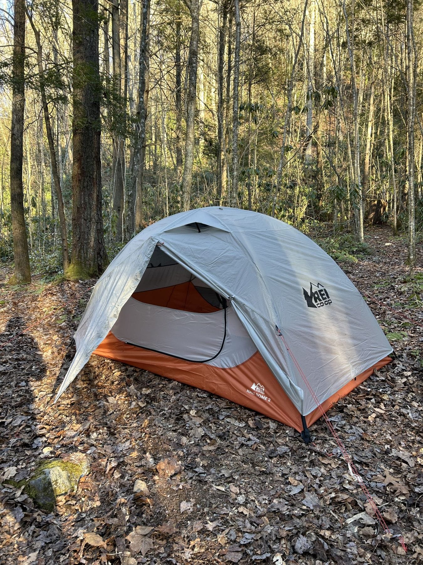 REI Half Dome 2 Tent