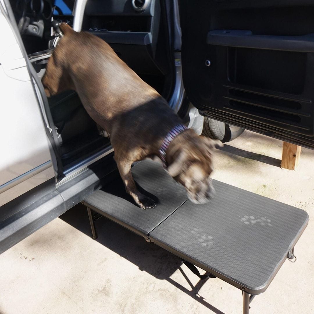 A better alternative to dog steps and ramps