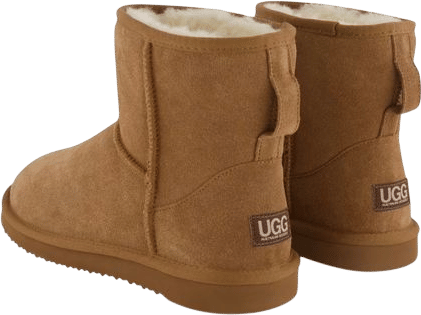Ugg Slipper Boots