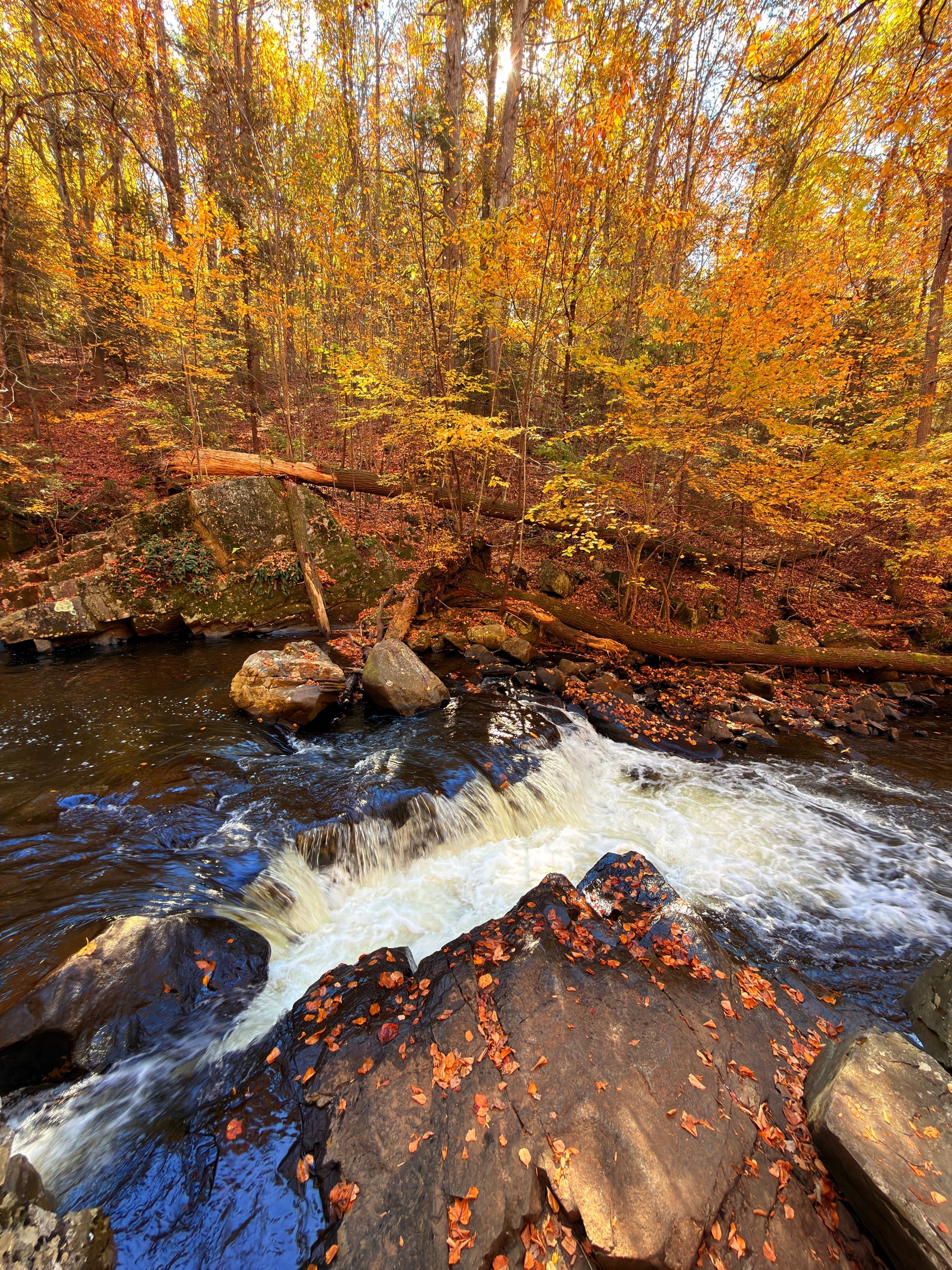Hacklebarney State Park