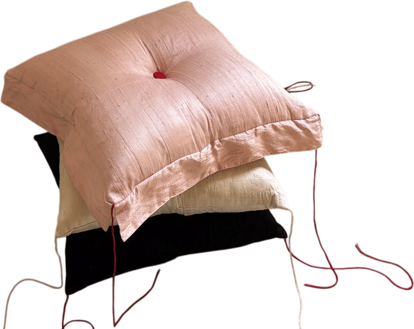 RAINI SILK PILLOW by RAINI
