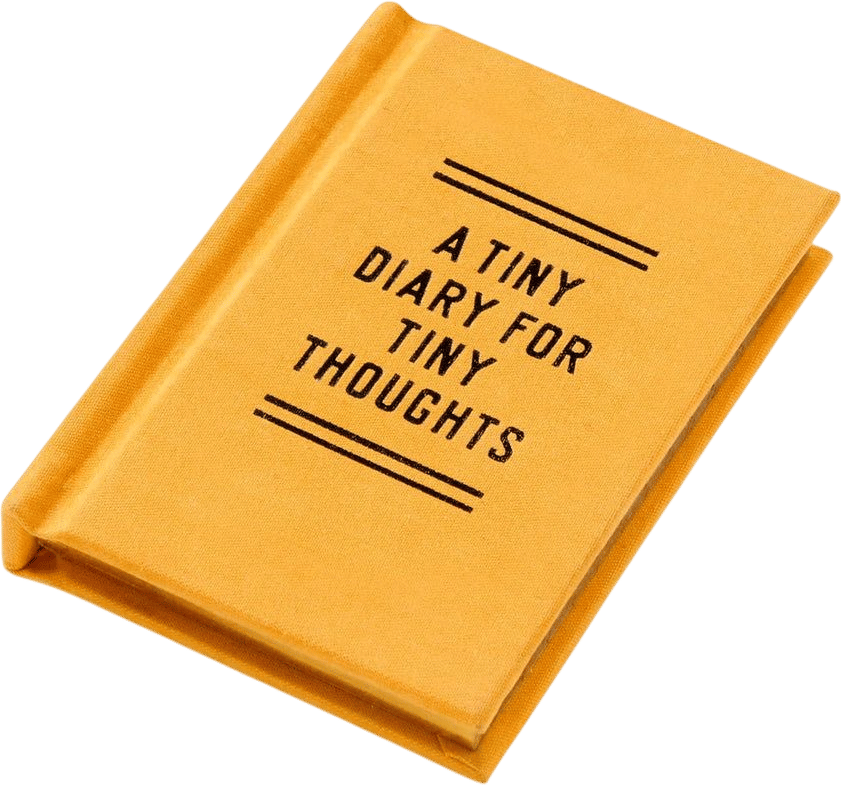 A Tiny Diary for Tiny Thoughts
