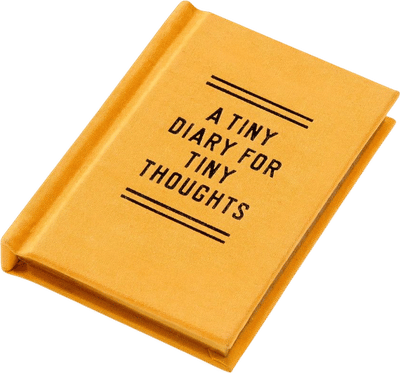 A Tiny Diary for Tiny Thoughts